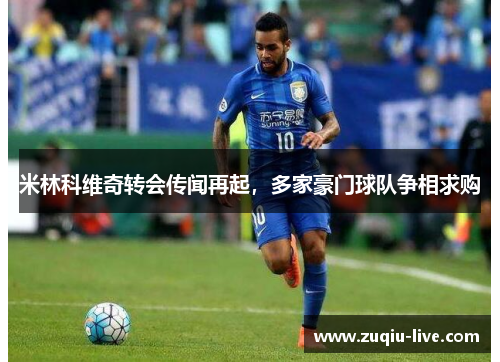米林科维奇转会传闻再起，多家豪门球队争相求购